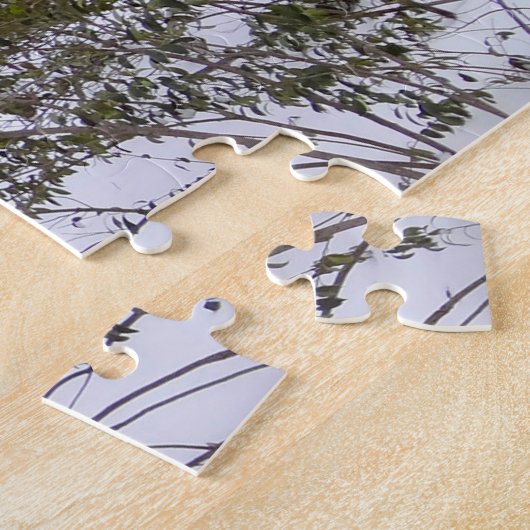 Central Park New York. Puzzle (Seite)