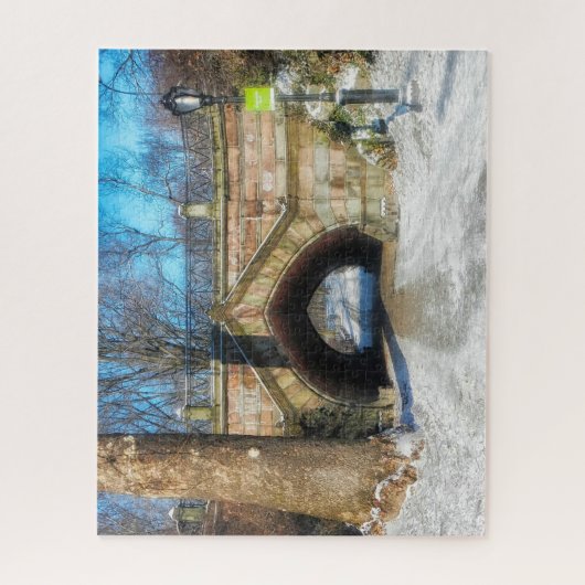 Central Park New York. Puzzle (Vertikal)