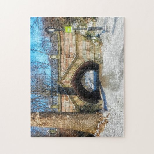 Central Park New York. Puzzle (Vertikal)