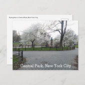 Central Park New York Springtime Path with Trees Postkarte (Vorne/Hinten)