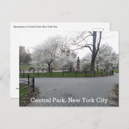 Central Park New York Springtime Path with Trees Postkarte (Vorne/Hinten)
