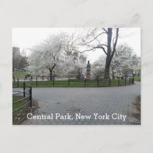 Central Park New York Springtime Path with Trees Postkarte