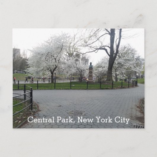 Central Park New York Springtime Path with Trees Postkarte (Vorderseite)