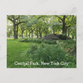 Central Park New York Summer Green Landschaftlich  Postkarte