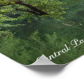 Central Park New York Turtle Pond Poster (Ecke)