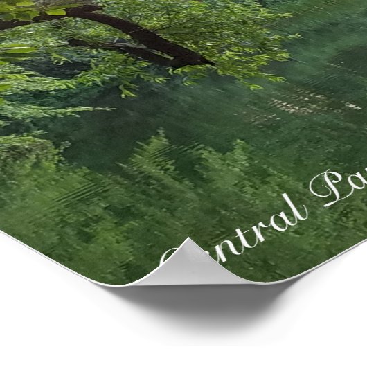 Central Park New York Turtle Pond Poster (Ecke)