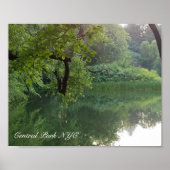 Central Park New York Turtle Pond Poster (Vorne)