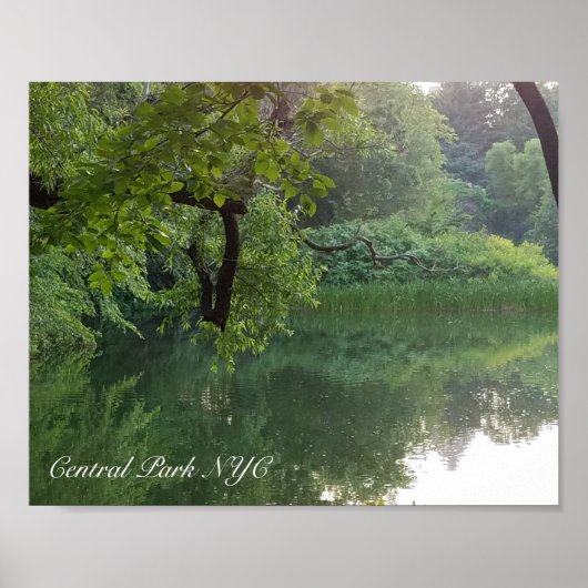 Central Park New York Turtle Pond Poster (Vorne)