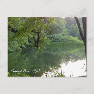 Central Park New York Turtle Pond Postkarte