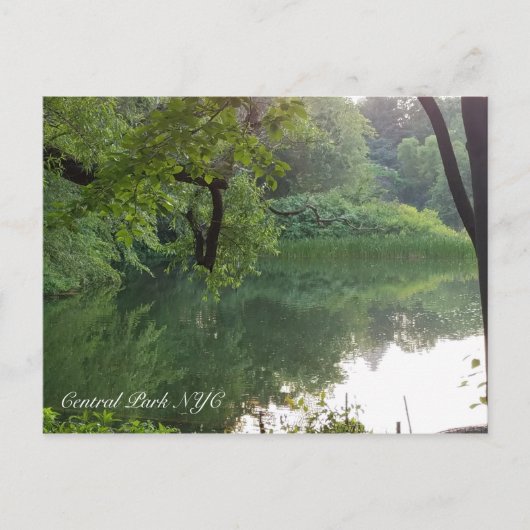 Central Park New York Turtle Pond Postkarte (Vorderseite)
