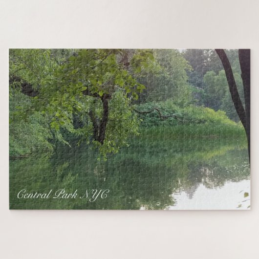 Central Park New York Turtle Pond Puzzle (Horizontal)