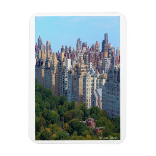 Central Park NY Magnet