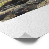 Central Park, NY Poster (Ecke)