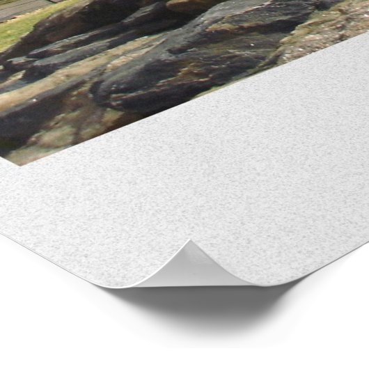 Central Park, NY Poster (Ecke)