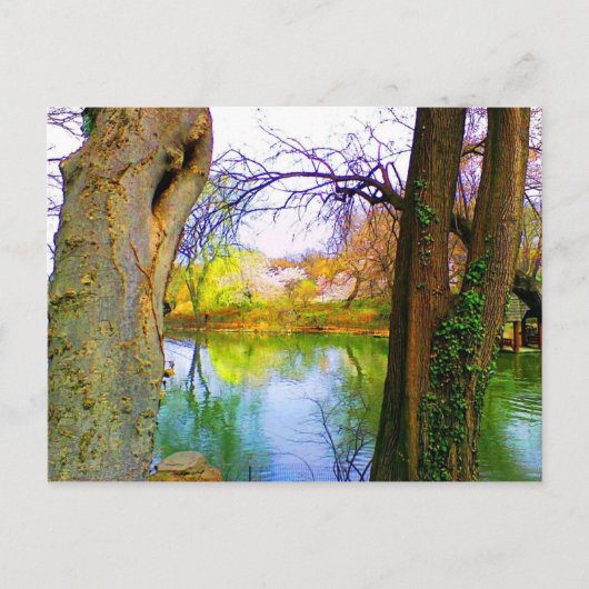 Central Park, NY Postkarte (Vorderseite)