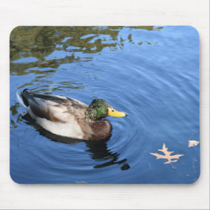 Central Park NYC Conservatory Water Mallard Duck Mousepad