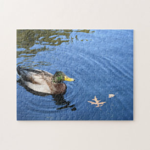 Central Park NYC Conservatory Water Mallard Duck Puzzle