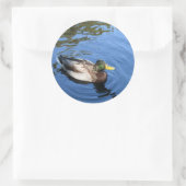 Central Park NYC Conservatory Water Mallard Duck Runder Aufkleber (Tasche)