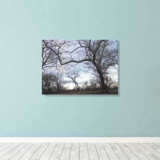 Central Park. NYC Leinwanddruck (Insitu (Holzboden))