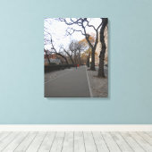 Central Park. NYC Leinwanddruck (Insitu (Holzboden))