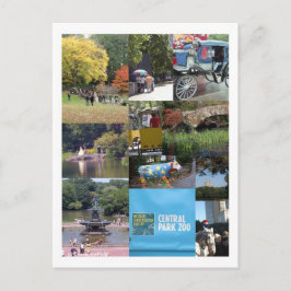 Central Park - NYC Postcard Postkarte