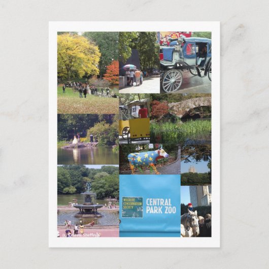 Central Park - NYC Postcard Postkarte (Vorderseite)