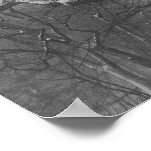 Central Park, NYC Poster (Ecke)