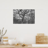 Central Park, NYC Poster (Küche)