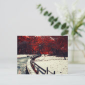 Central Park, NYC Postkarte (Stehend Vorderseite)