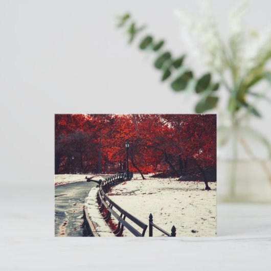 Central Park, NYC Postkarte (Stehend Vorderseite)