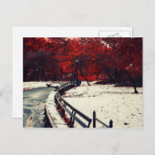 Central Park, NYC Postkarte (Vorne/Hinten)