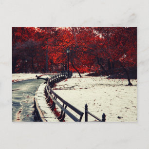 Central Park, NYC Postkarte