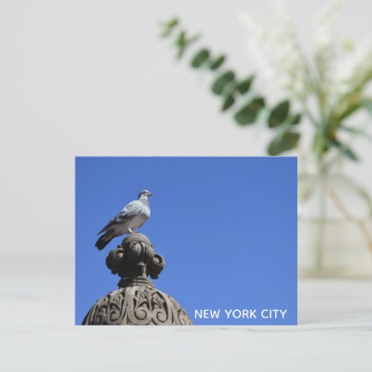 Central Park Pigeon Blue Sky New York City Bird Postkarte (Stehend Vorderseite)