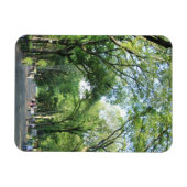 Central Park: Poet's Walk im Sommer Magnet (Horizontal)