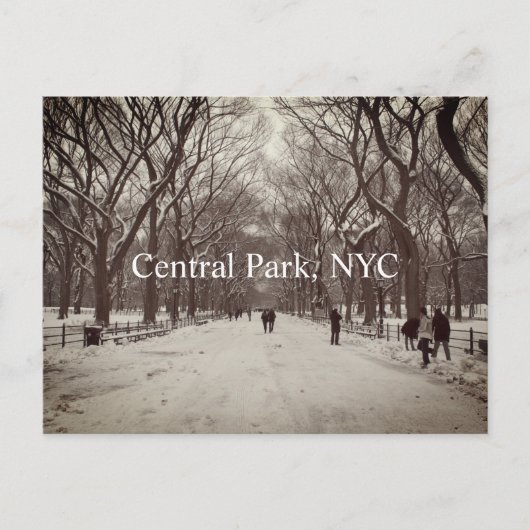Central Park Postkarte (Vorderseite)