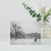Central Park, Postkarte (Stehend Vorderseite)
