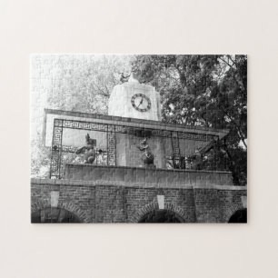 Central Park Puzzle
