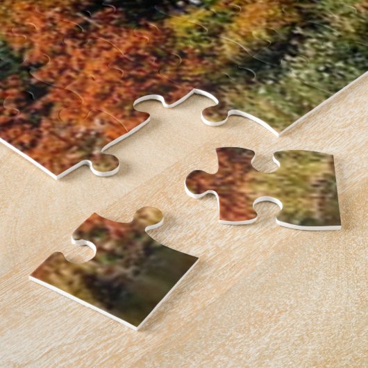 CENTRAL PARK PUZZLE (Seite)