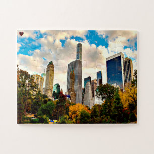 Central Park Puzzle