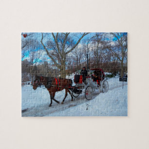 Central Park Puzzle