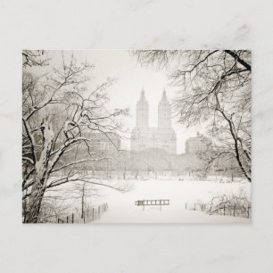 Central Park - Schöner Winterschnee Postkarte