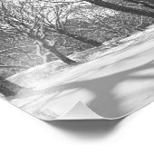 Central Park Snowfall B&W Fotodruck (Ecke)