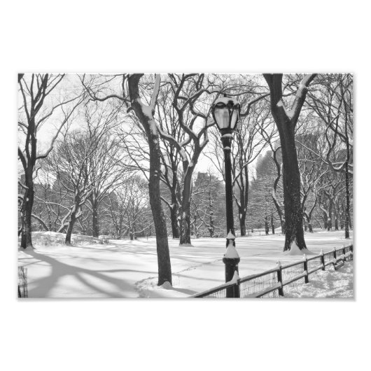 Central Park Snowfall B&W Fotodruck (Vorne)