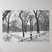 Central Park Snowfall B&W Poster (Vorne)