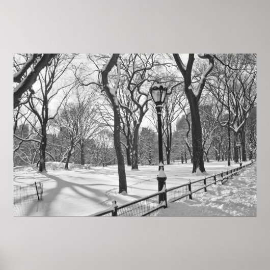Central Park Snowfall B&W Poster (Vorne)
