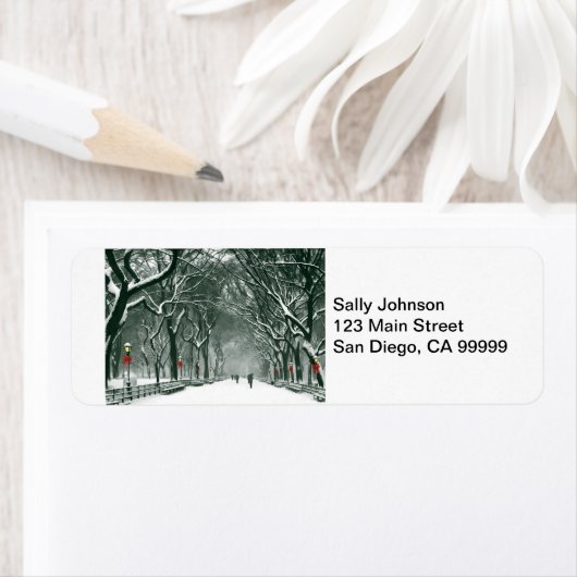 Central Park Snowy Path (Insitu)