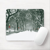 Central Park Snowy Path Mousepad (Mit Mouse)