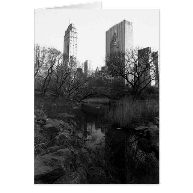 Central Park South Skyline NYC (Vorne)