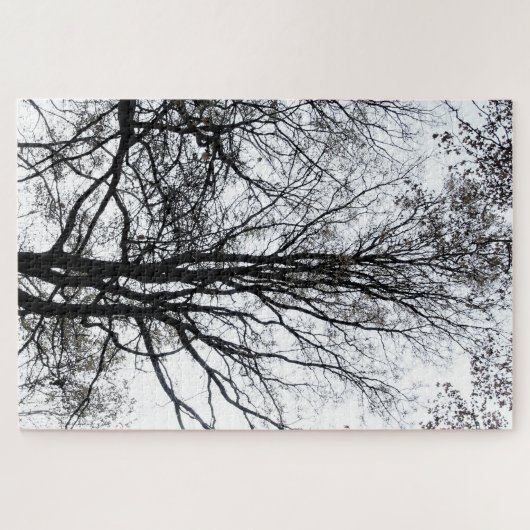 Central Park Spätherbst fast Barren Tree B&W Puzzle (Horizontal)