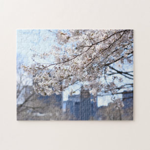 Central Park Spring Cheroms New York City Puzzle
